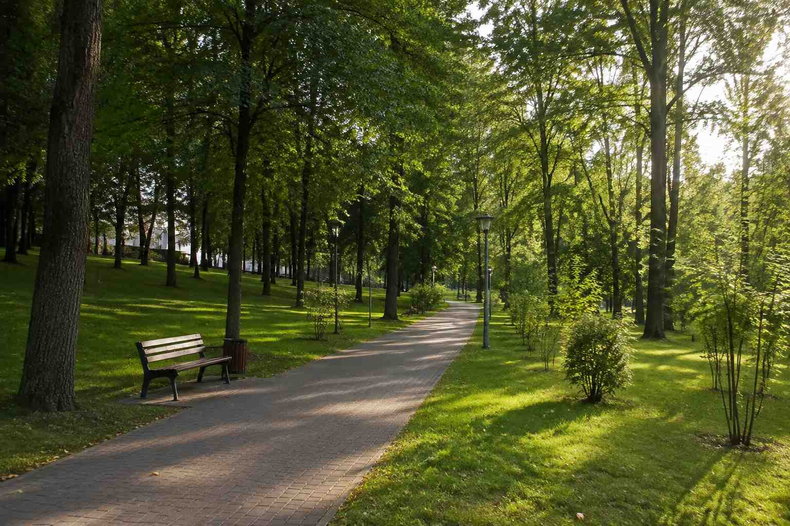 https://kolomna.blago-s.ru/storage/app/uploads/public/6a7/eef/ed2/6a7eefed2af22038960370.jpg